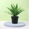 Planta artificial algas helecho bonsái árbol de sangre de dragón biónico planta verde viento silencioso bonsái árbol artificial decoración de sala de estar Canadiense