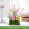 Caja de Flores de Planta Verde Simulada Hc-Bz3/Hc-Cr7 para Exhibición, Adornos Decorativos, Escaparate, Decoración de Paisajismo Floral Artificial
