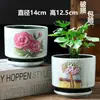 Vaso de flor de suculenta em cerâmica com prato, oferta especial, diâmetro grande, tamanho grande, vaso criativo para suculentas de casa