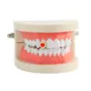 Brackets de Hip-Hop Europeos y Americanos, Brackets Individuales de Corazón, Disfraces de Halloween, Accesorios de Hip-Hop para Fiestas de Baile, Dientes Grandes Dorados Personalizados para Hombres y Mujeres
