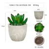 Planta en Maceta Artificial Mini Transfronteriza Hecha a Medida Adornos de Escritorio Bonsái Suculento de Simulación Flor Artificial Planta Verde Pulpa Suculenta Planta en Maceta