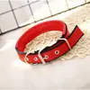 Collar para Mascotas Transfronterizo Polipropileno PP Collar Pequeño para Perro Correa para el Cuello de Mascota Cosida con Espuma Arnés para Perro Suministros para Mascotas