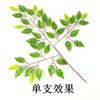 Hojas de Baniano Simuladas Se Sienten Pegadas Ramas Falsas Hojas Plantas Verdes Otoño Decoración de Ingeniería Jardín Decoración de Enverdecimiento Venta al por Mayor