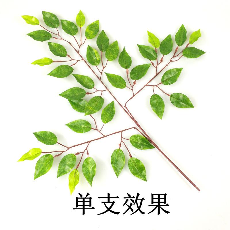 详情12.jpg