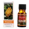 Aceite Esencial Aromaterapia Vegetal Soluble en Agua Humidificador Incienso Casero Interior Difusor de Piedra Duradero Dormitorio Lavanda