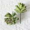 Uau Bonsai de Suculenta Artificial Personalizado Plantio Flocagem Acessórios de Suculenta Falsa Artificial Plantas Verdes DIY Decoração de Casa