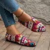 Zapatos de Comercio Exterior de Talla Grande de Una Sola Capa para Mujer 2023 Primavera Nuevo Europeo y Americano Estampado Combinación de Colores Bajos Slip-on Transfronterizos de Tela Zapatos de Mujer