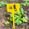 Etiqueta para Suculenta Etiqueta de Jardinagem Identificação Etiqueta para Flor e Planta Verde Registro do Nome da Planta Plástico Impermeável Etiqueta de Solo