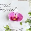 Atacado de Fábrica Pássaro Pequeno Atirando Osso Pétalas de Flor Phalaenopsis DIY Acessórios de Flor Simulação Guirlanda de Flores Artesanal Cabeças de Flores para Fantasia Acabamentos