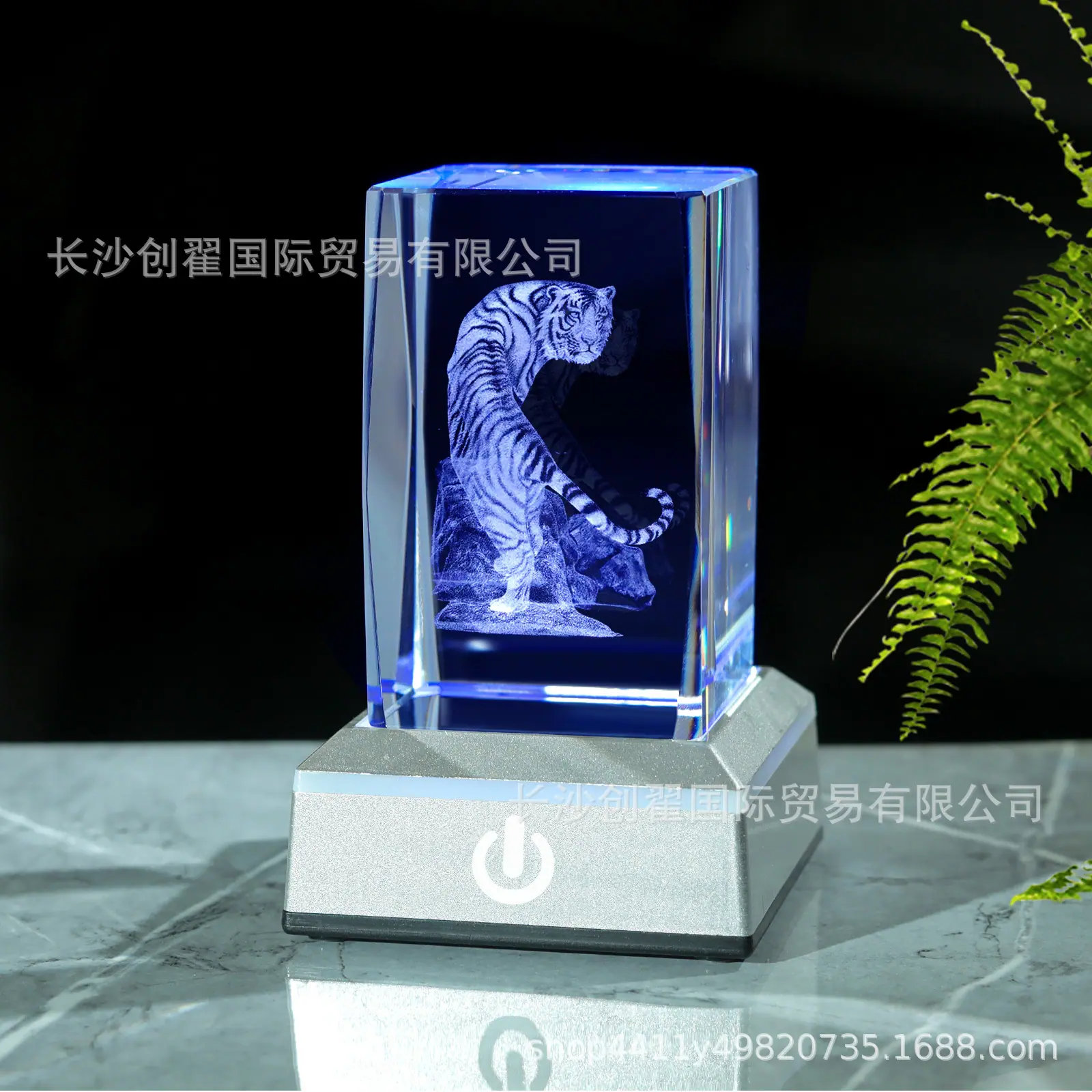 老虎_08.jpg