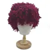 Amazon Mejor Vendido Transfronterizo Pelucas Europeas y Americanas para Mujeres con Cabello Corto Cabello Corto Afro Rizado Esponjoso de Seda de Alta Temperatura Peluca Gorro