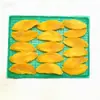 Esterilla Hueca de Silicona de Grado Alimenticio para Secado, Esterilla Transpirable para Secadora, Esterilla Antiadherente para Secado de Frutas, Rodajas de Mango y Limón