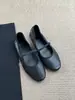 Versão em Pele de Ovelha~Sapatos Mary Jane Estilo Retrô Francês para Mulheres, Salto Baixo, Bico Arredondado, Tira Única, Sola Macia, Sapatos Individuais Confortáveis, Sapatos de Vovó