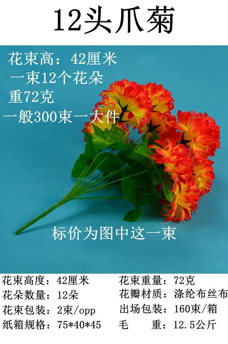 12头爪菊详情1.jpg