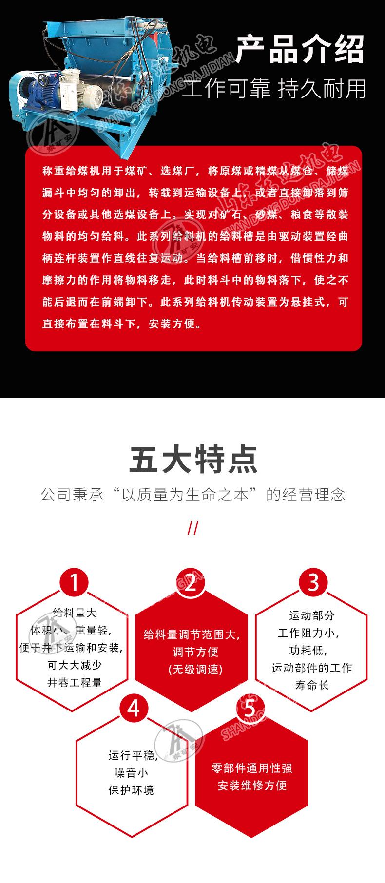 称重给煤机_01 (2)