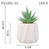 Planta Suculenta Simulada Macetas, Decoración de Muebles de Oficina Nórdicos, Nuevas Suculentas Bonsái Simuladas de Alta Calidad para el Hogar