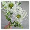 Almofada de Agulhas Simulada Crisântemo, Decoração de Casamento, Flores Artificiais, Adereços Decorativos Sofisticados, Móveis de Iluminação para Casa, Flores Secas de Plástico