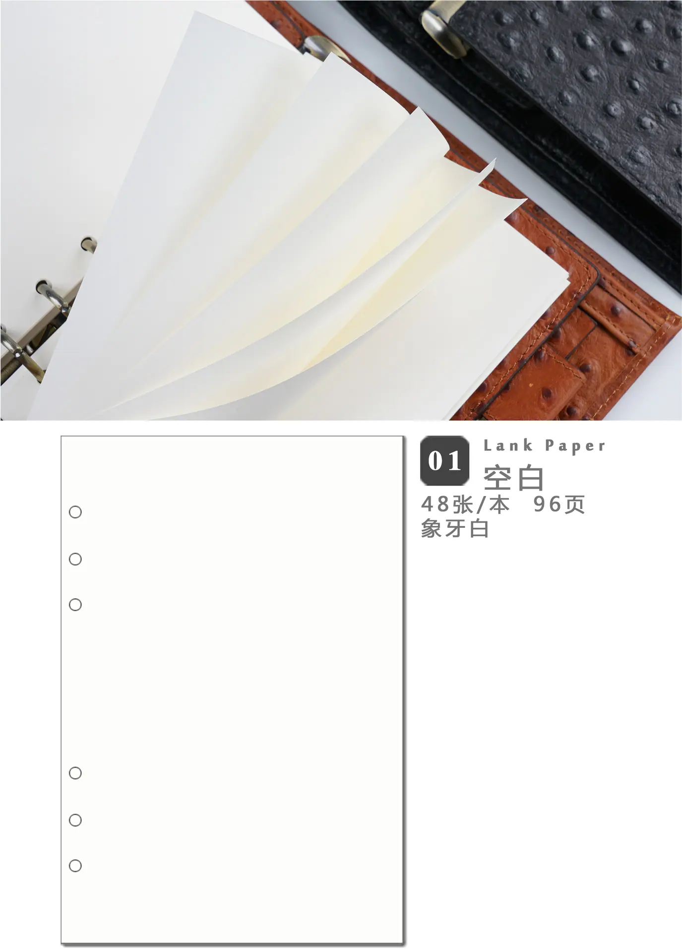 6孔活页本芯祥情空白.jpg