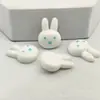 Accesorios de Resina de Corazón Blanco y Conejo Casual Pequeños para Manualidades Funda de Teléfono Móvil Zuecos con Pasador Accesorios de Joyería