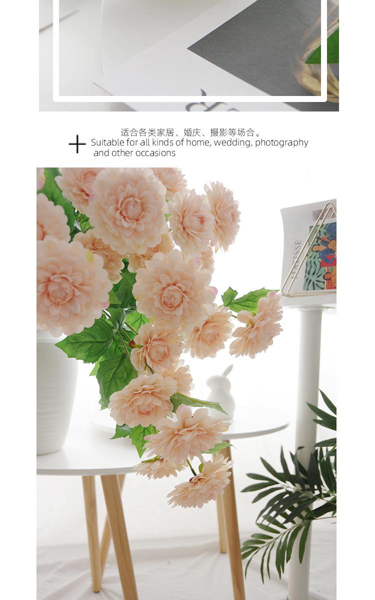 详情_18.jpg