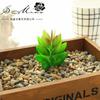 Suculentas Cabeça de Flor Pequena Trevo de Muitas Folhas Suprimentos Criativos para DIY Acessórios para Parede de Plantas Fornecimento Direto do Fabricante de Flores de Plantas Verdes