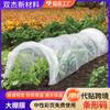 Filme para Estufa Plástico Transparente Agrícola Cultivo de Hortaliças Pequeno Arco Filme Venda Quente Transfronteiriça Isolamento Térmico À Prova de Frio e Anticongelante Folha de Plástico Transparente