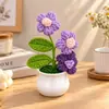 Ornamento de Mesa Acabado em Crochê Vaso Florido Fofo Decoração de Planta Presente Planta em Vaso Vaso de Flores Tricotado à Mão Flor Pequena