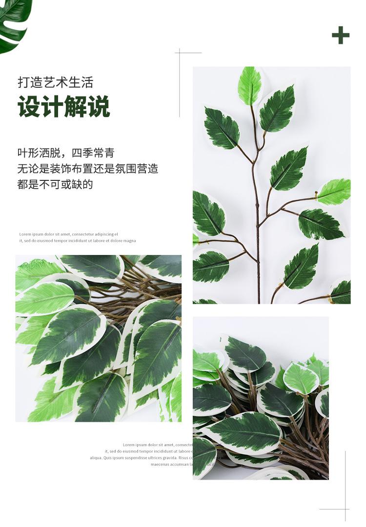 详情仿真绿植_03.jpg