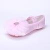 Zapatos de Baile Satinados Rosas para Niñas con Flores Grandes, Hermosos Zapatos de Baile, Lindos Zapatos de Garra de Gato para Actuación en Escenario 8054