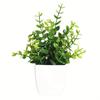 Flor Artificial Transfronteriza Eucalipto Bonsái Decoración de Escritorio para Sala de Estar en Casa Planta Verde Mini en Maceta Adornos de Flores Artificiales de Plástico