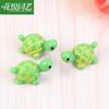 Huayue Jardinería Musgo Micro Paisaje Botella Ecológica Muñeca Tortuga Verde Paisajismo Dy Fresco