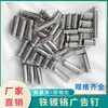 Clavos Publicitarios de Hierro Cromado, Clavos para Vidrio, Clavos Espejo de Acero Inoxidable, Tapas Decorativas Antirrobo para Agujeros de Puerta, Clips para Fijación de Vidrio, Tapas para Clavos