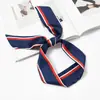 Bolsa de alça decorativa versátil estilo coreano para primavera e verão lenço de seda fita estreita fina cinto de fita lenço de fita para mulheres