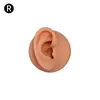 Modelo de Exhibición de Auriculares de Oreja de Silicona Joyería de Pendientes de Oreja Práctica de Limpieza de Orejas Prop de Enseñanza de Simulación del Cuerpo Humano