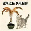 Suministros para mascotas: Juguete tipo vaso con hierba gatera para jugar y aliviar el aburrimiento, juguete para gatos, vaso con hierba gatera, vaso con plumas