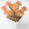 Suculenta Artificial Cabeça de Flor de Suculenta Artificial Bonsai Artificial Acessórios DIY Fabricante Conjunto de Cabeças de Flor de Suculenta Cor Personalizada