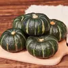 Calabaza Beibei No.1 de Shandong, entrega 3/ 2.5kg Rosa y glutinoso sabor castaña comida para bebés, verduras frescas