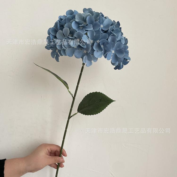 微信图片_202212121133424_副本