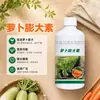 Agente de engorde para rábano rábano blanco fertilizante foliar anti-agrietamiento agente de engorde para zanahoria rábano verde fertilizante de lavado control de crecimiento vigoroso fertilizante soluble en agua