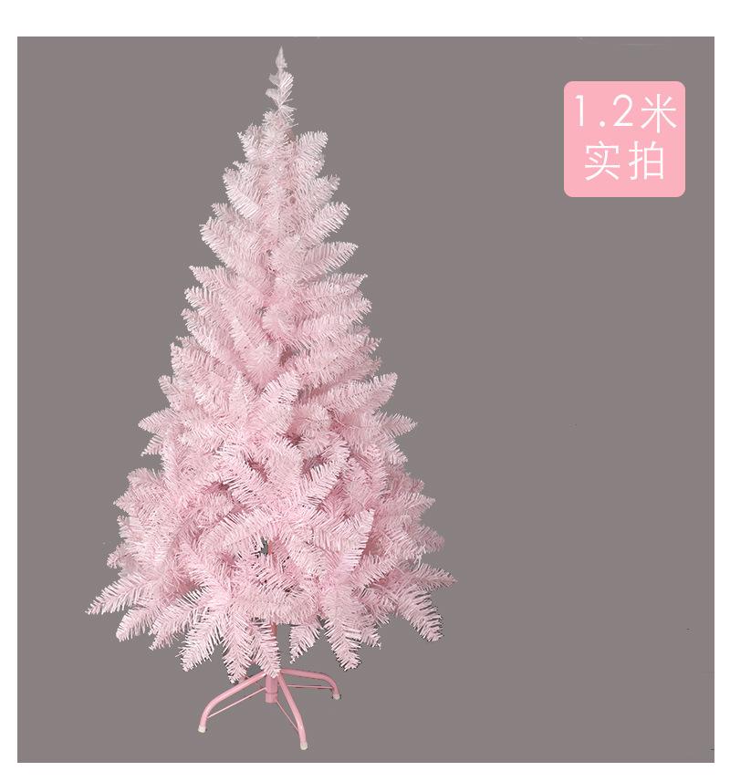 粉色樱花渐变树_09.jpg