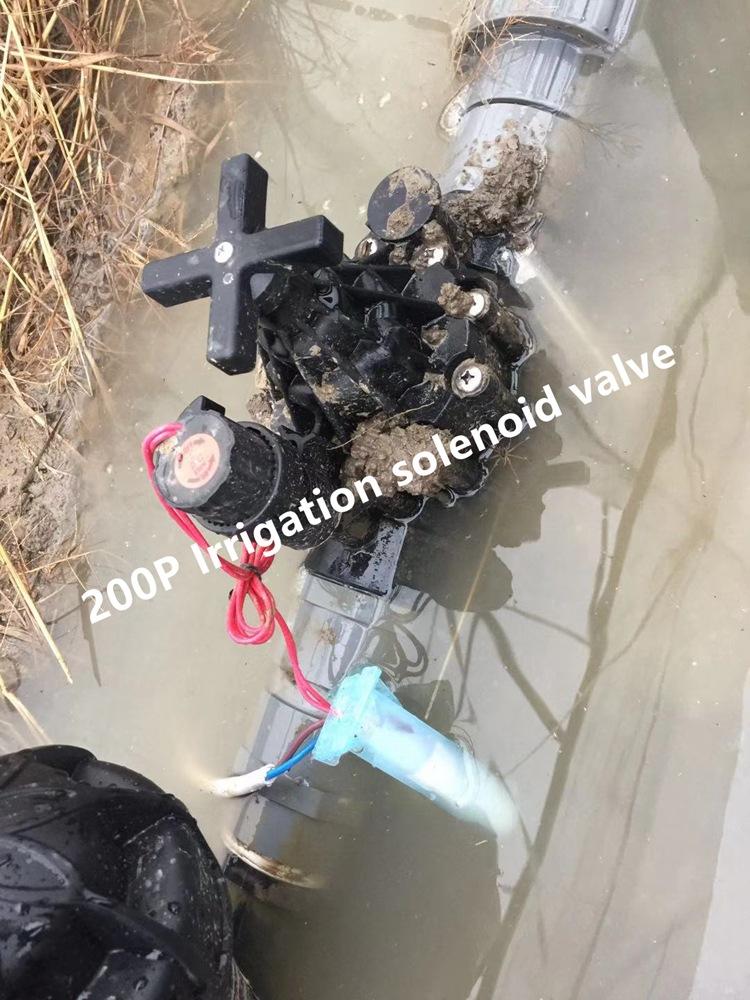 修改过的图片 (9)