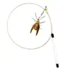 Cabeza de Repuesto para Juguete de Gato tipo Insecto Simulador, Accesorios para Palo de Juguete para Gatos, Abejita para Auto-Entretenimiento para Aliviar el Aburrimiento, Polilla Suministros para Mascotas Original