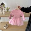 Vestido de Malla Tejida para Niña 2025 Otoño e Invierno Nuevo Estilo Suéter de Manga Larga para Bebé con Elegante Vestido de Princesa