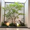 Árbol de Arce Verde Simulado Arce de Garra de Pollo Arce Marchito Paisaje Interior Sala de Té Bonsái Adorno de Árbol Falso Planta Verde Decoración de Paisajismo