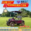 Carrito de Golf, Scooter Turístico para Lugares Pintorescos, Vehículo de Recepción para Visitas Inmobiliarias, Vehículo de Patrulla, Carrito de Golf Eléctrico Todoterreno