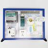 Placa de Ensino para Demonstração de Circuito Familiar Grande e Pequena Ensino Fundamental e Médio Equipamento para Experimento de Física Ensino Elétrico Auxílios Didáticos Instrumentos