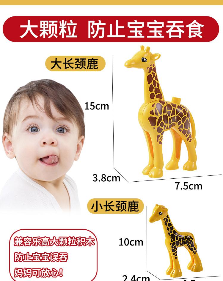 动物详情_02