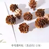 Material de Fruta Seca Natural Marco de Fotos con Espécimen de Hoja Paquete de Material de Combinación de Flores Secas Hecho a Mano DIY Decoración Navideña Fruta
