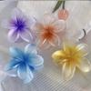 Explosiones de Espejo Cruzado Europeas y Americanas Pinza de Flor de Huevo de Color Tridimensional Anti-Falso Pinza Grande para la Parte Posterior de la Cabeza Accesorios para el Cabello para Mujer Tocado