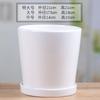 Maceta de Cerámica con Plato Extra Grande Creativa para Suculentas Interior Hogar Colgante Orquídea Pothos Maceta Blanca